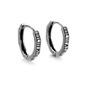 Titanium Silver Snap Back Hoop Earring Pair