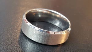 Titanium Silver Ring