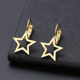 Titanium Silver Hoops Pair, Hypoallergenic, Sleeper, Star Earrings